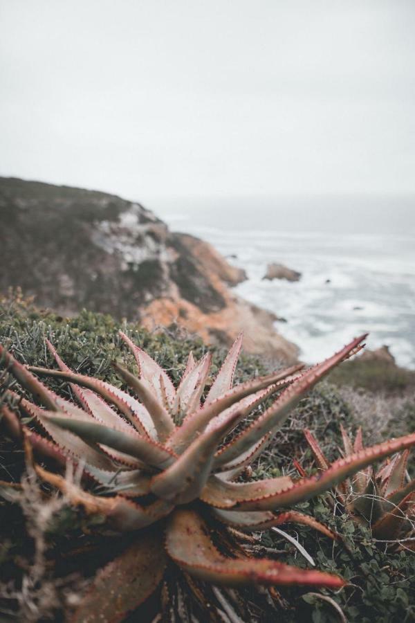 Valhalla Self Catering Mossel Bay Luaran gambar